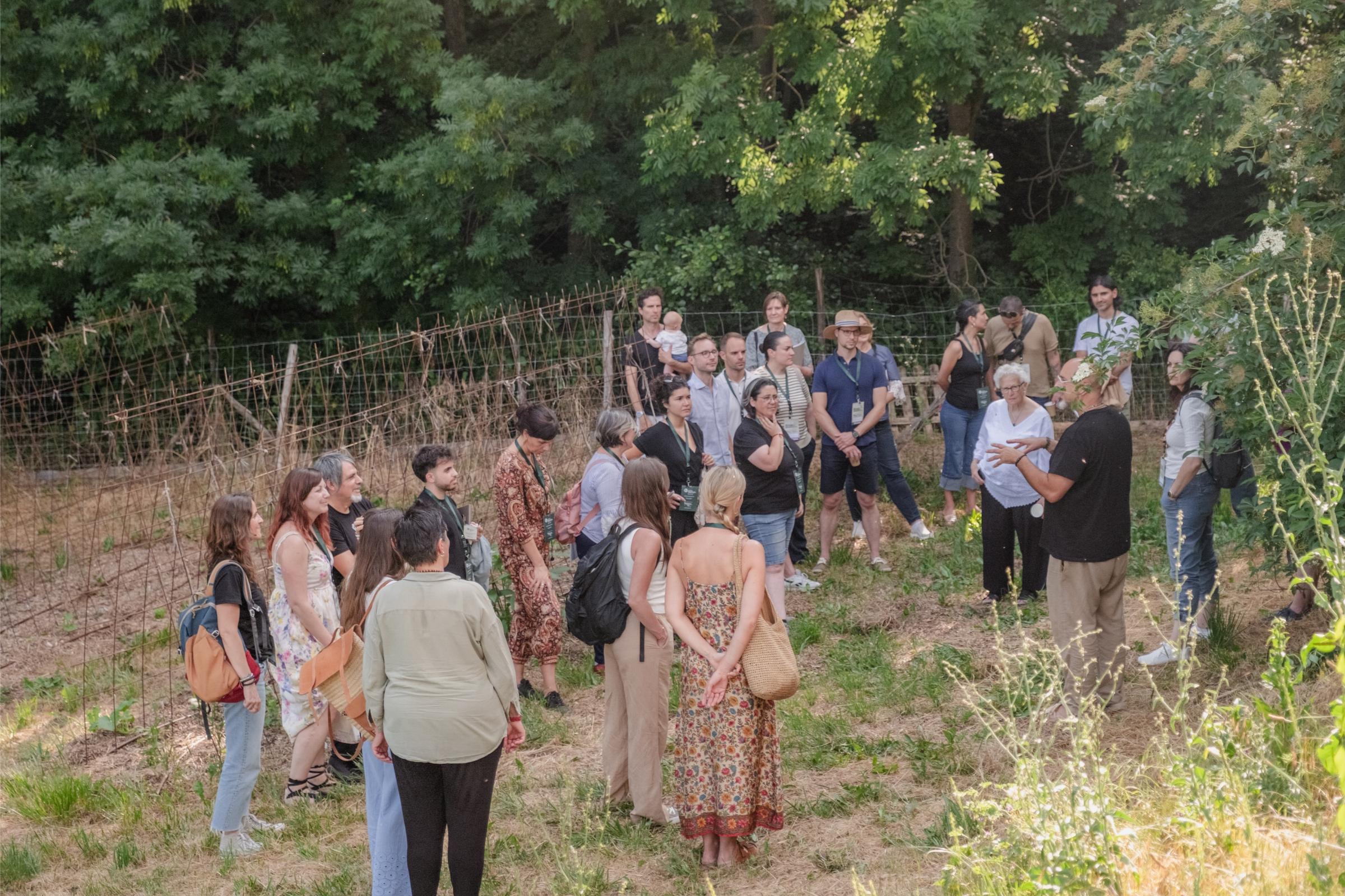 Comunitat de l'Institut Regeneratiu