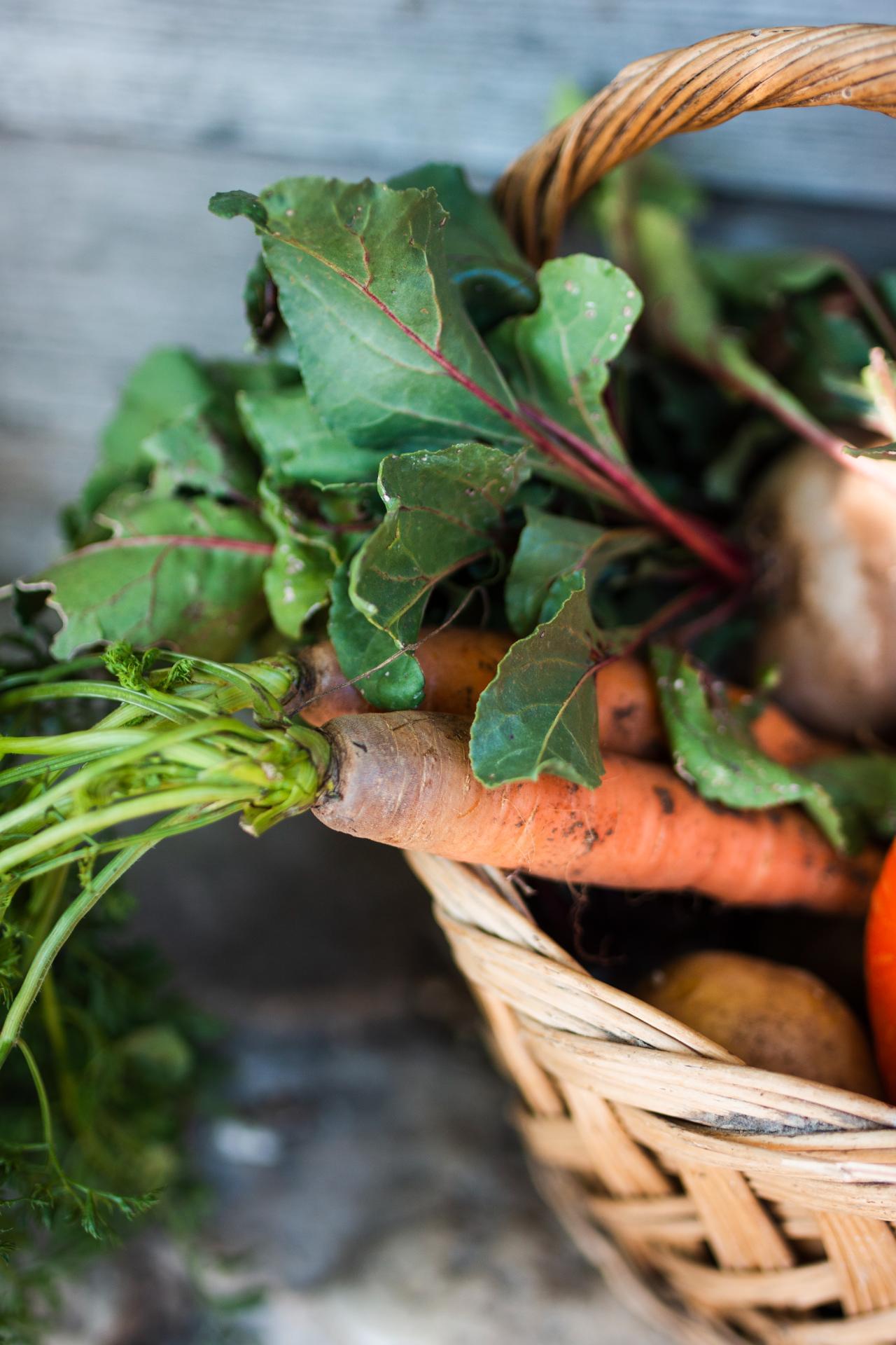 Gastronomia ecològica