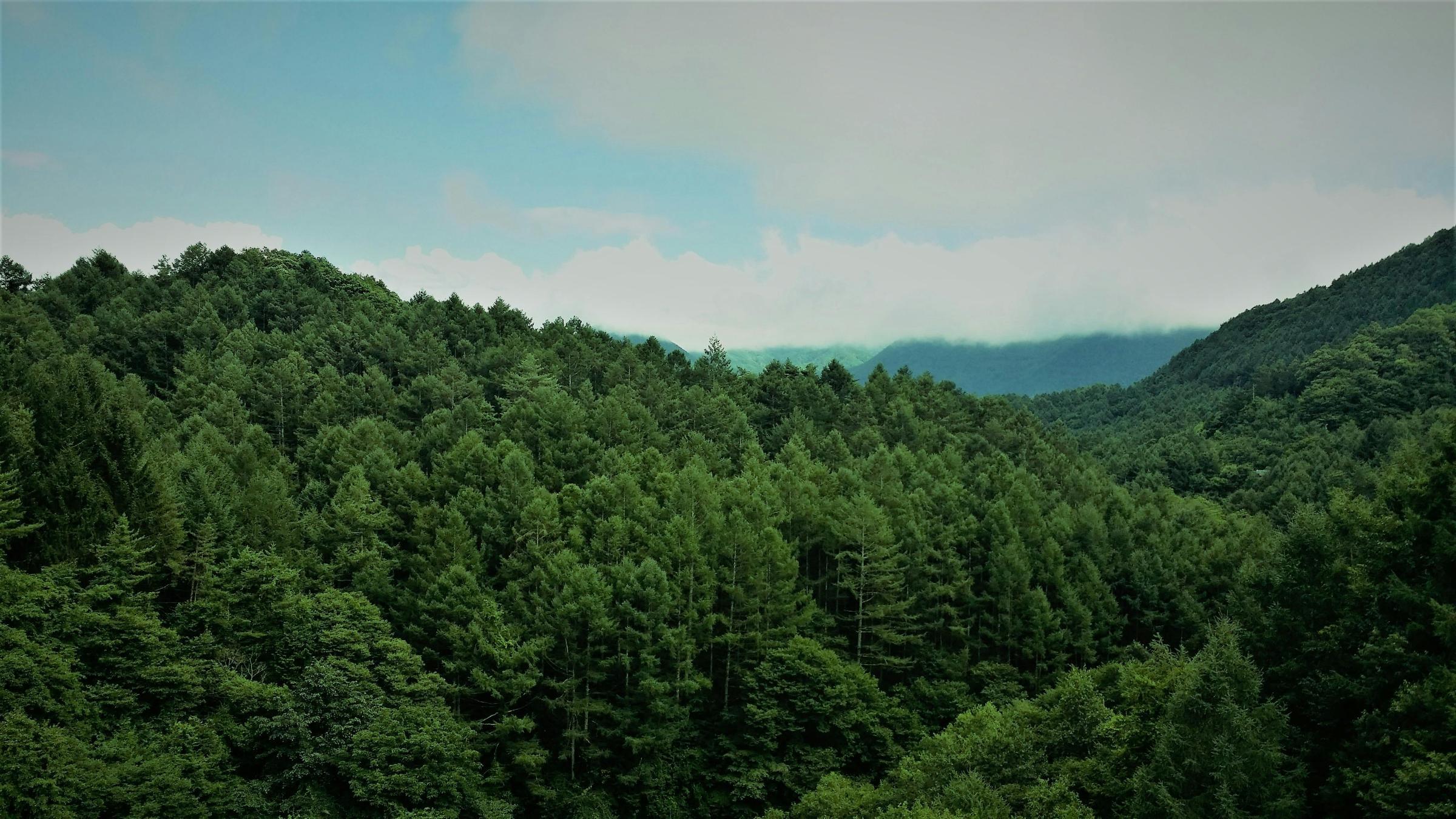 Muntanyes i natura