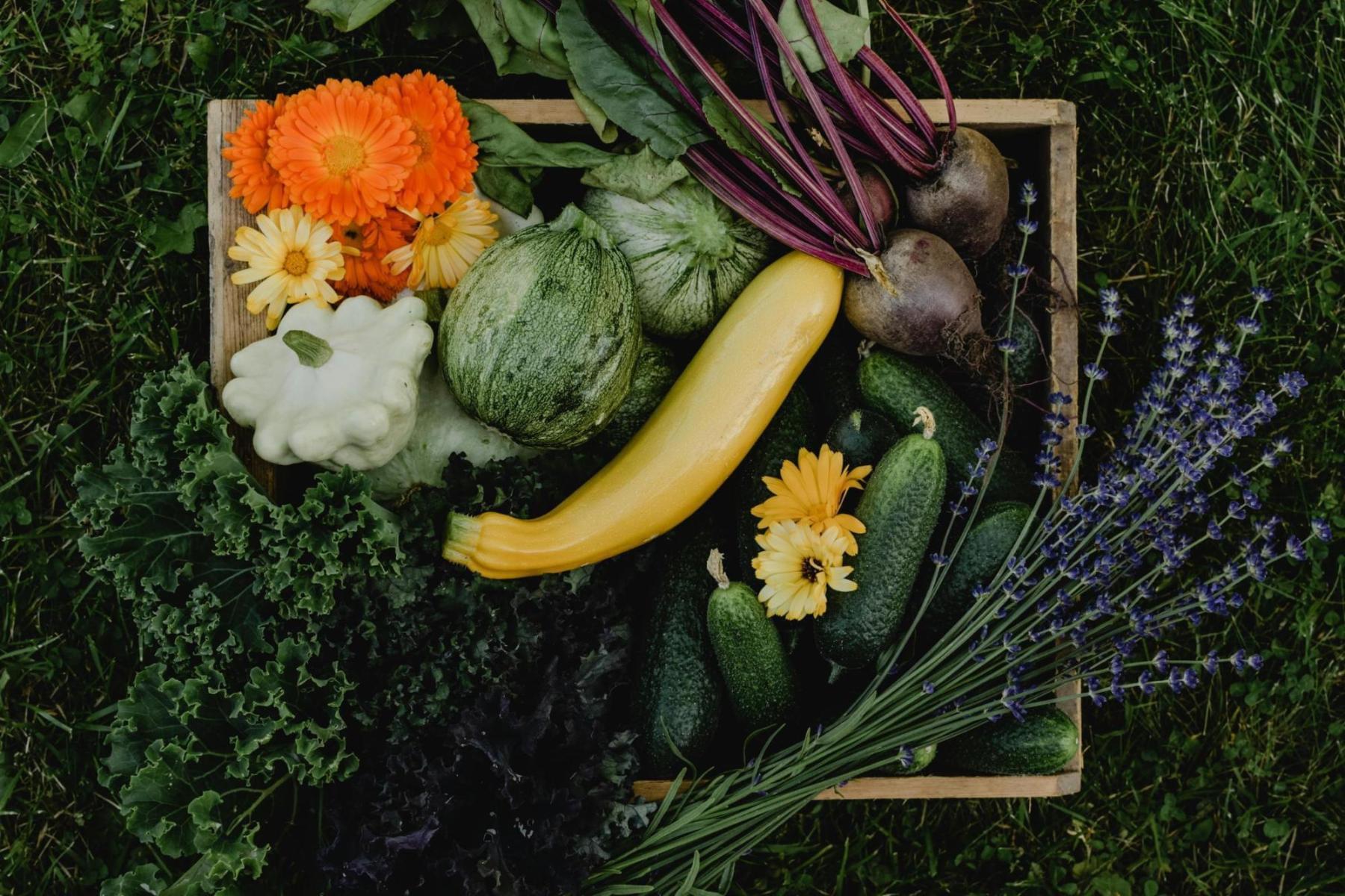 Gastronomia regenerativa