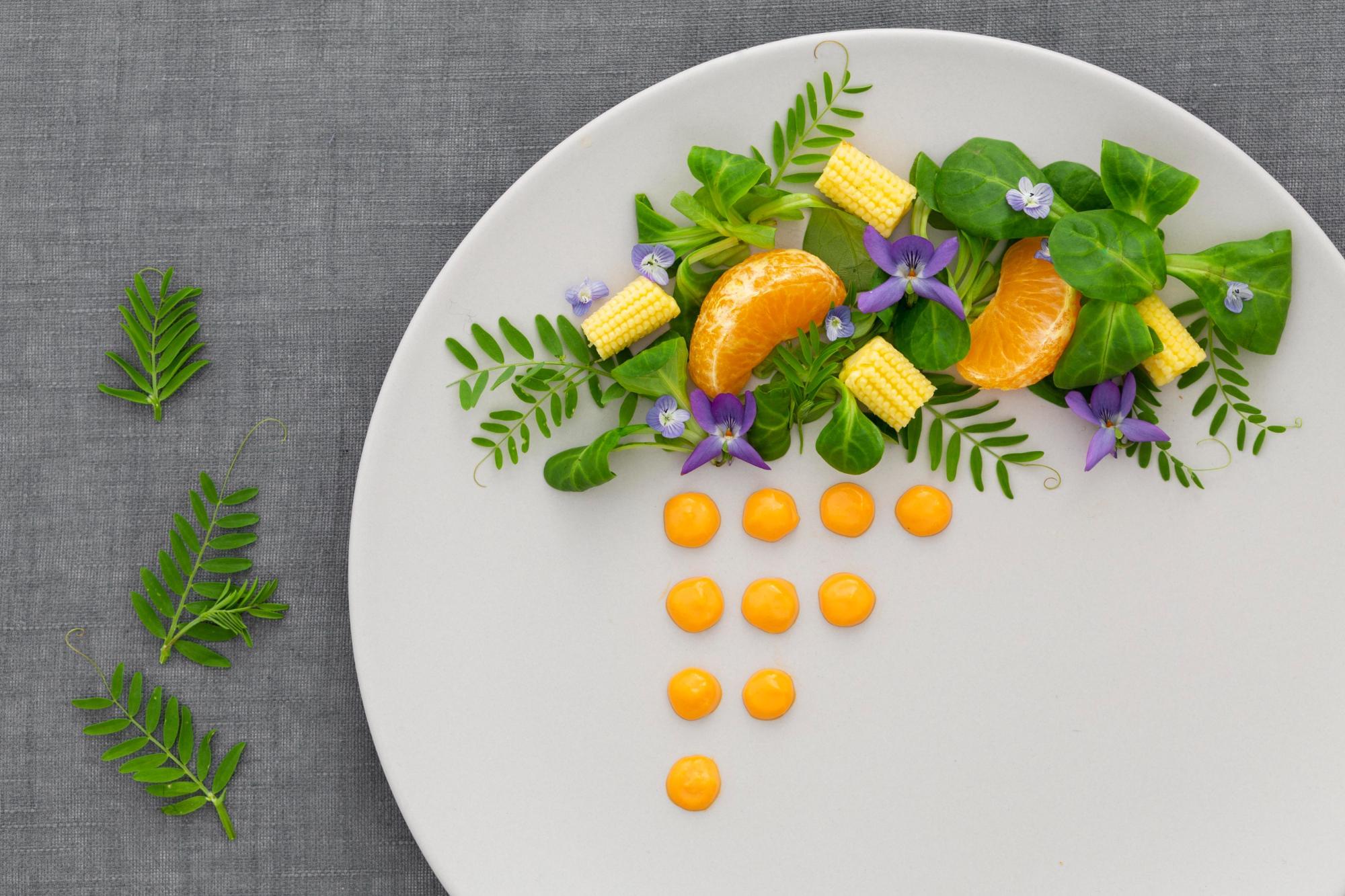Gastronomia aplicada a les vies respiratòries
