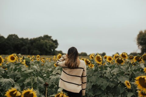 Noia en un camp de gira-sols