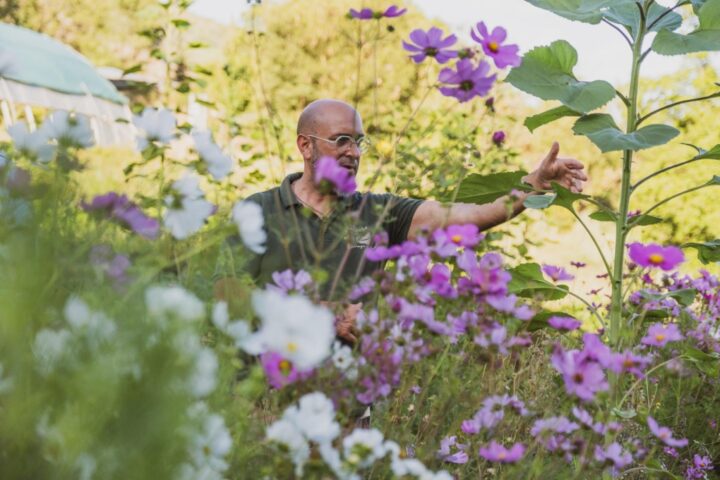 David Isern a un paisatge florit