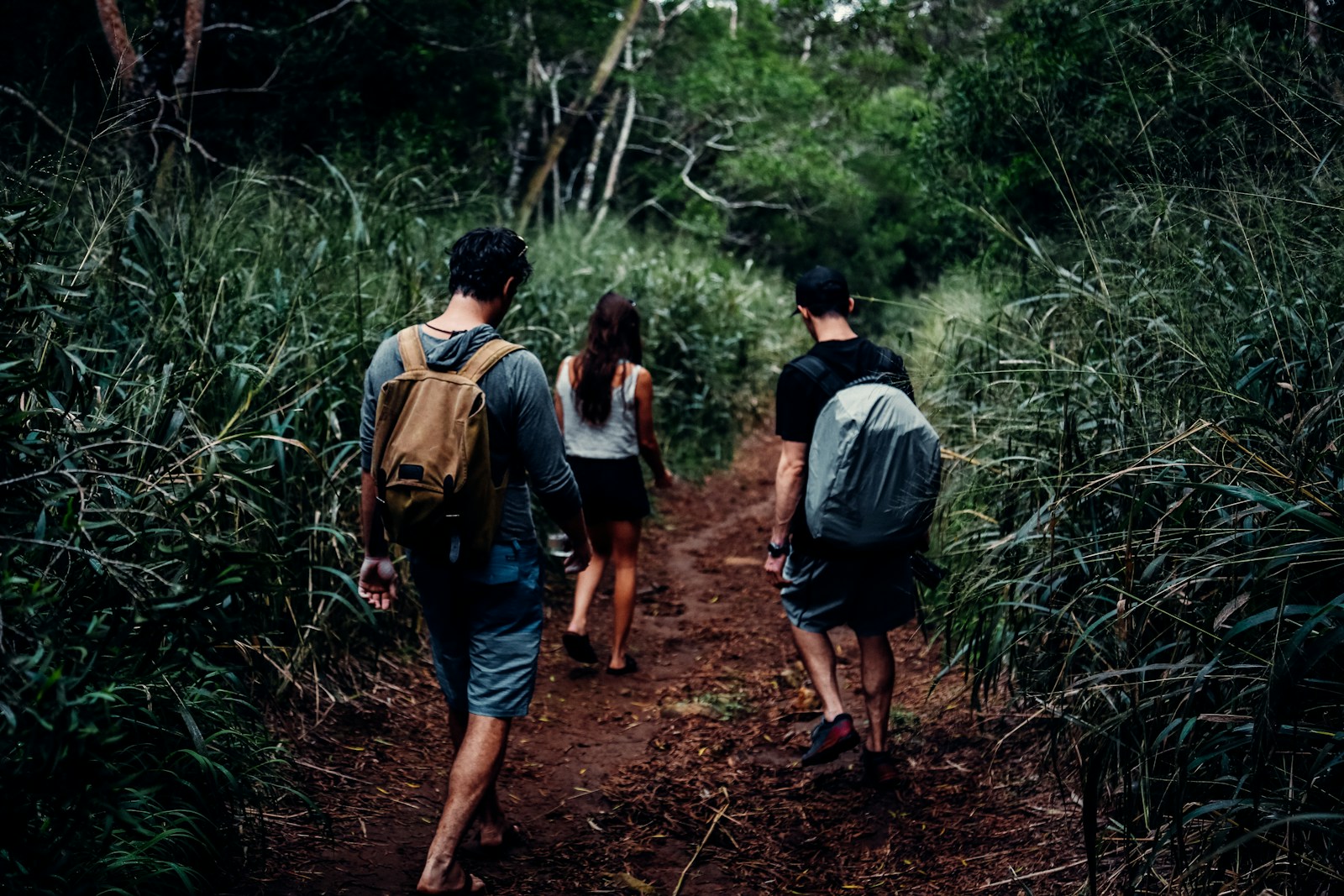Grup de presones caminant pel bosc